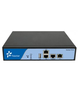 Yeastar NeoGate TE100 VoIP to PRI Gateway 