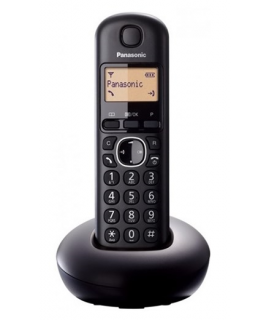 Panasonic KX-TGB210FXB